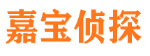 镇沅找人公司